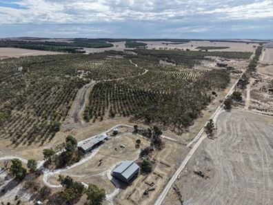 Lot 706 Quairading - York  Road, Kauring WA 6302