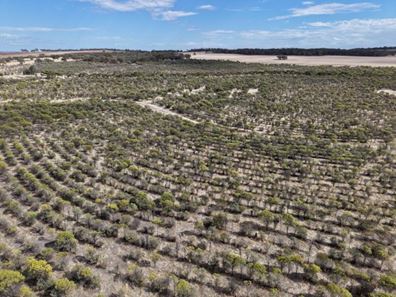 Lot 706 Quairading - York  Road, Kauring WA 6302