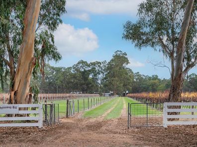 374 Jindong-Treeton Road, Kaloorup WA 6280