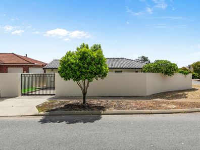6 Ibis Street, Stirling WA 6021