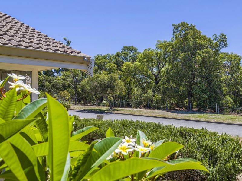 1 Thistle Court, Dianella WA 6059