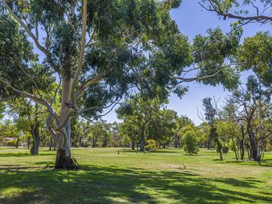1 Thistle Court, Dianella WA 6059