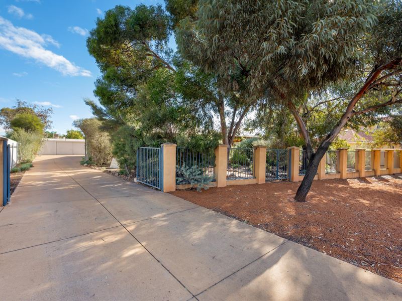 3 Emery Close, Broadwood WA 6430