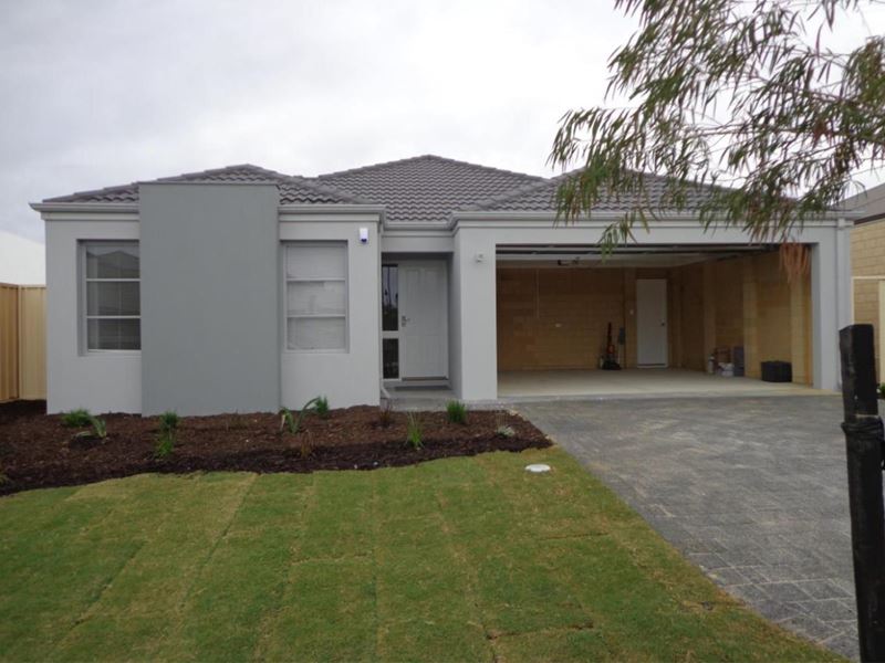 7 Malvern Road, Butler WA 6036