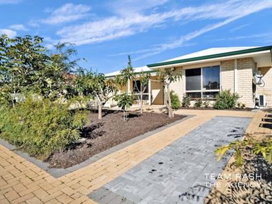 19 River Fig Place, Alexander Heights WA 6064