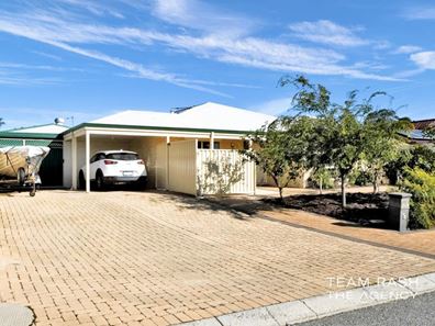 19 River Fig Place, Alexander Heights WA 6064