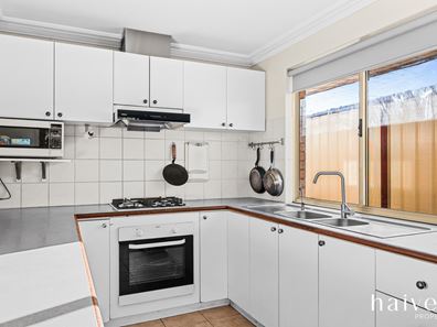 31 BLENNY CLOSE, Cannington WA 6107