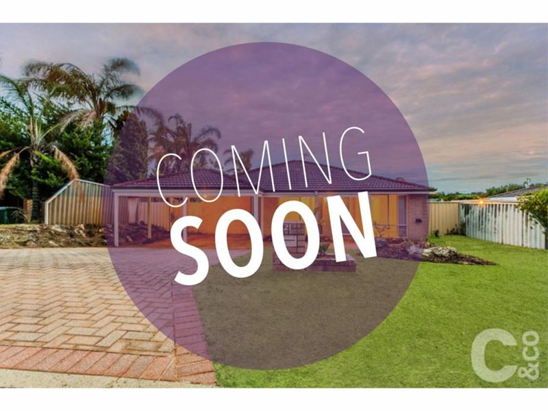 21 Werloo Court, Leda WA 6170