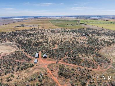 579 Ballidu-Bindi Bindi Road, West Ballidu WA 6606