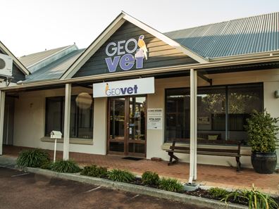 36 Warren Road, Nannup WA 6275
