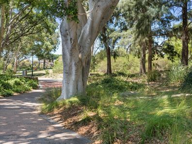 Lot 558, 74A Egham Street, Lathlain WA 6100