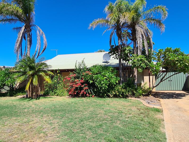 19 Granberry Drive, Carnarvon