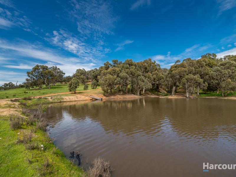 69 Wedgetail Ridge, Bullsbrook