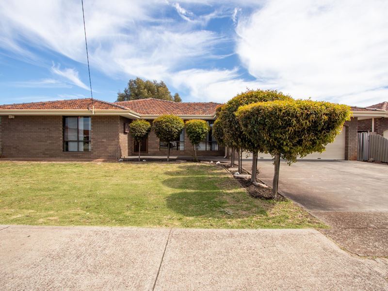 60 Hamilton Street, Cannington