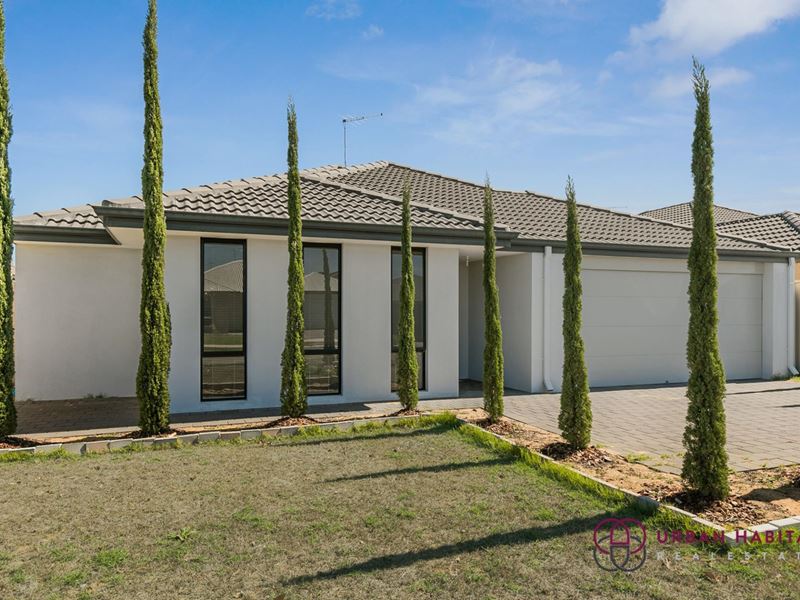 23 Molonglo Crescent, Baldivis WA 6171