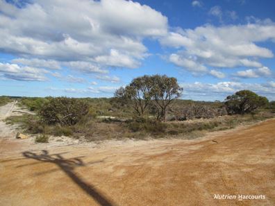 388 Dotterel Drive, Hopetoun WA 6348