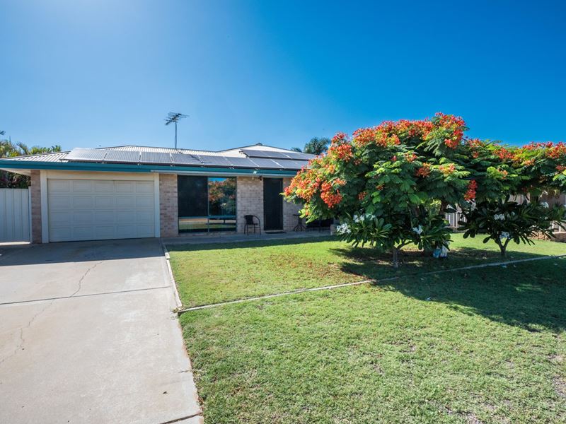 12 Half Moon Drive, Waggrakine WA 6530