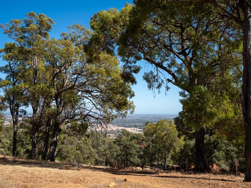 North Dandalup