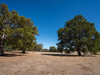North Dandalup WA 6207