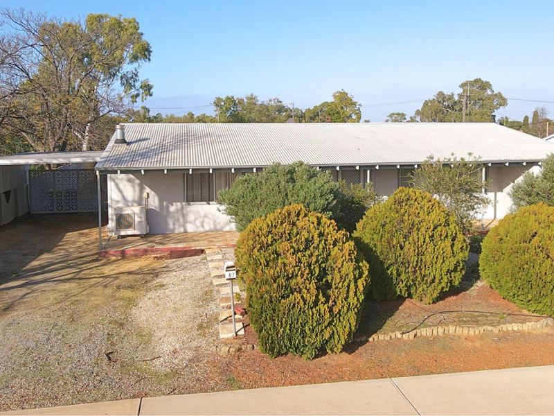 47 Wandoo Crescent, Wongan Hills WA 6603