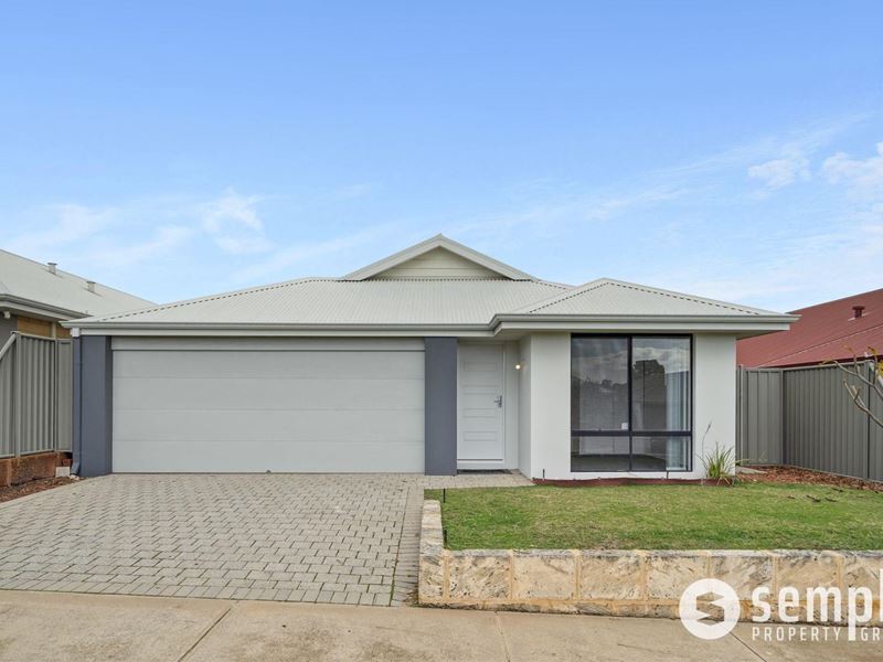 125 Honeywood Avenue, Wandi