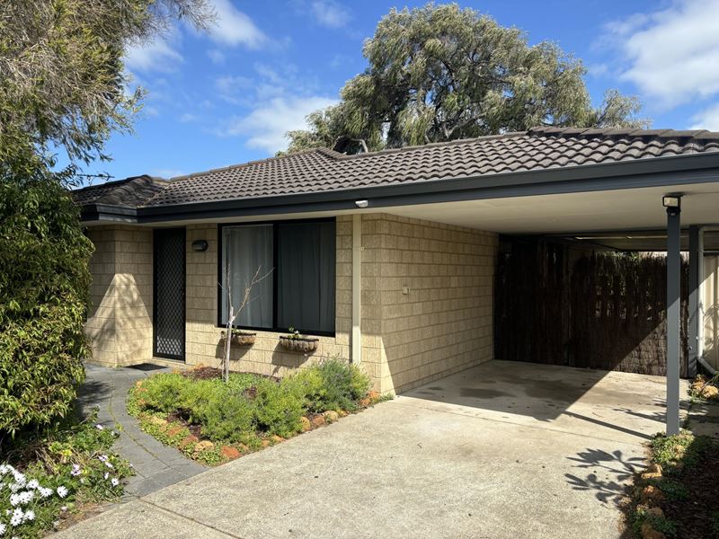 40 Willmott Street, Geographe WA 6280