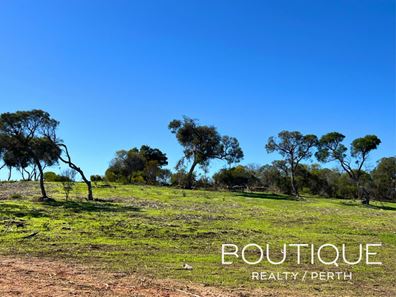 48 Bottlebrush Cove, Springfield WA 6525