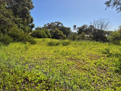 Lot 200, 39 Whitfield Street, Guilderton WA 6041