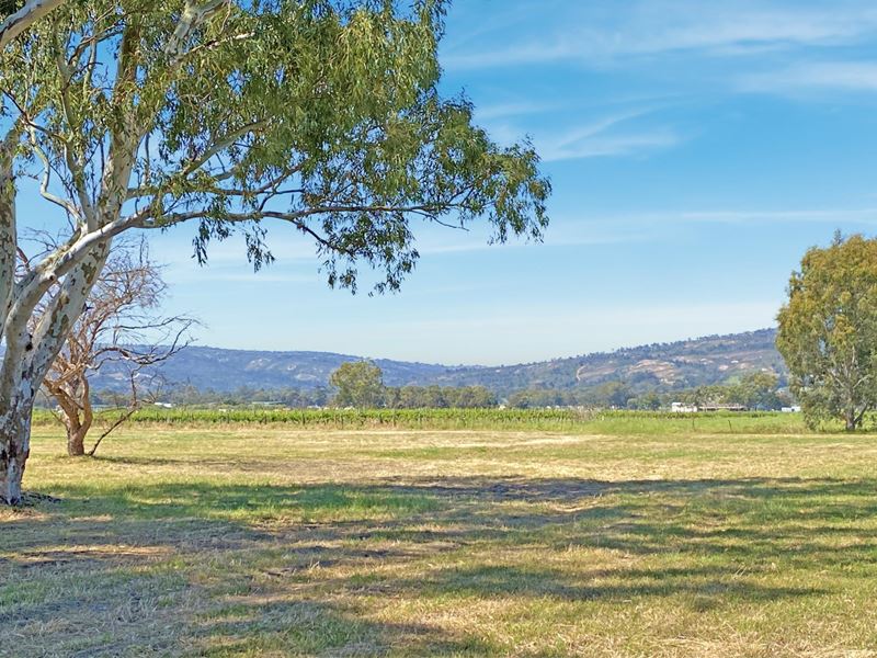 178 Lefroy Avenue, Herne Hill WA 6056