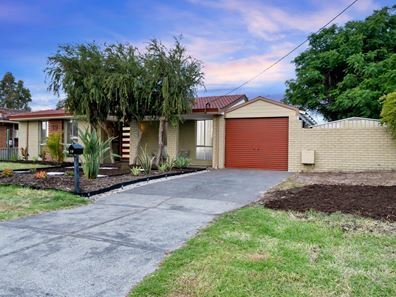19 Hibiscus  Road, Maddington WA 6109