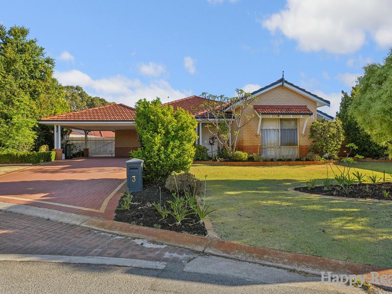 3 Petrea Place, Canning Vale