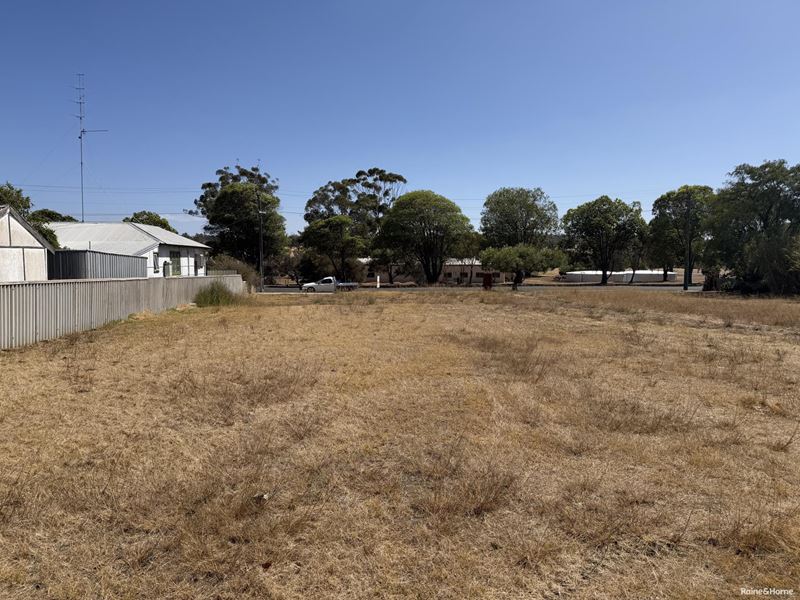 51 Burrowes Street, Darkan WA 6392