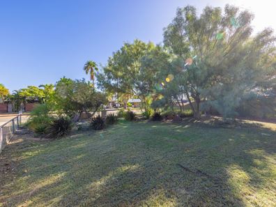 17 Gawthorne Drive, Millars Well WA 6714