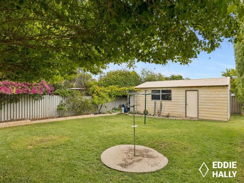 31 Osprey Drive, Yangebup WA 6164
