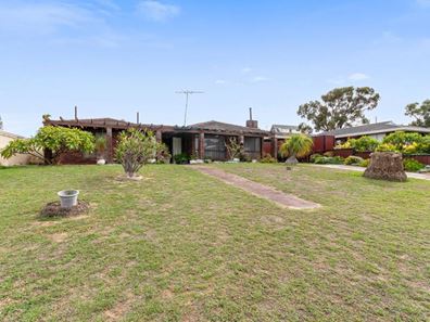 7 Galatea Grove, Two Rocks WA 6037