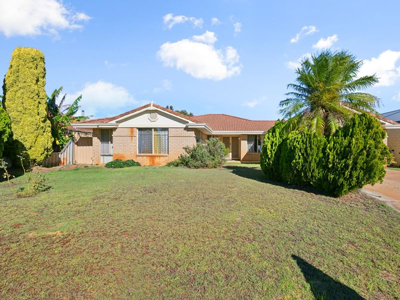 48 Crossland Way, Kardinya WA 6163