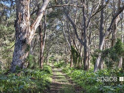 9562 Caves Road, Hamelin Bay WA 6288
