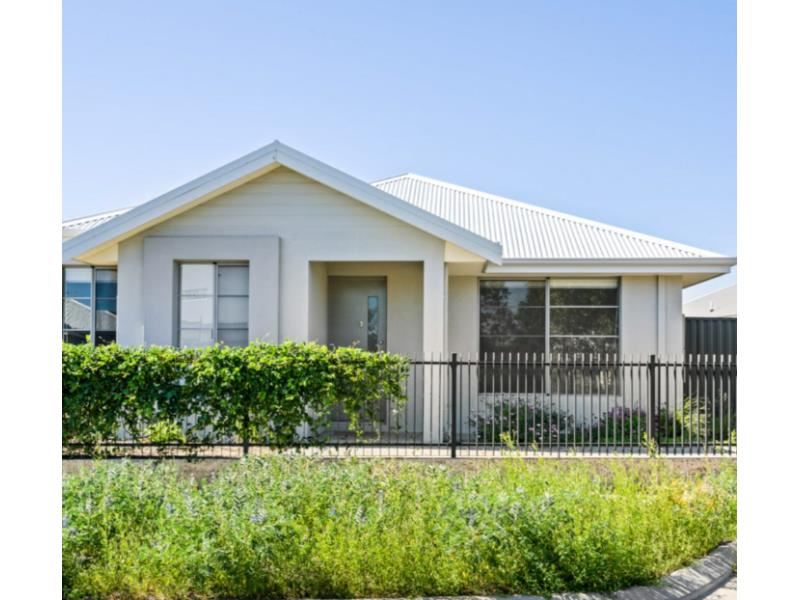 12 Elderflower Street, Treeby