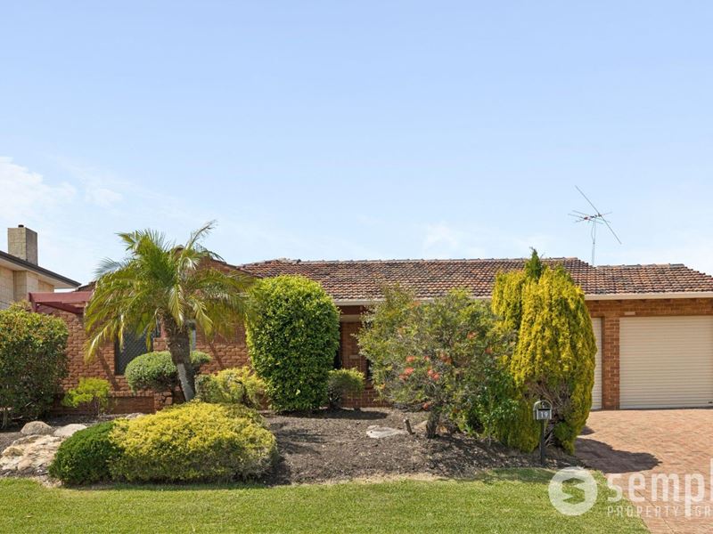 19 Hornet Rise, Willetton