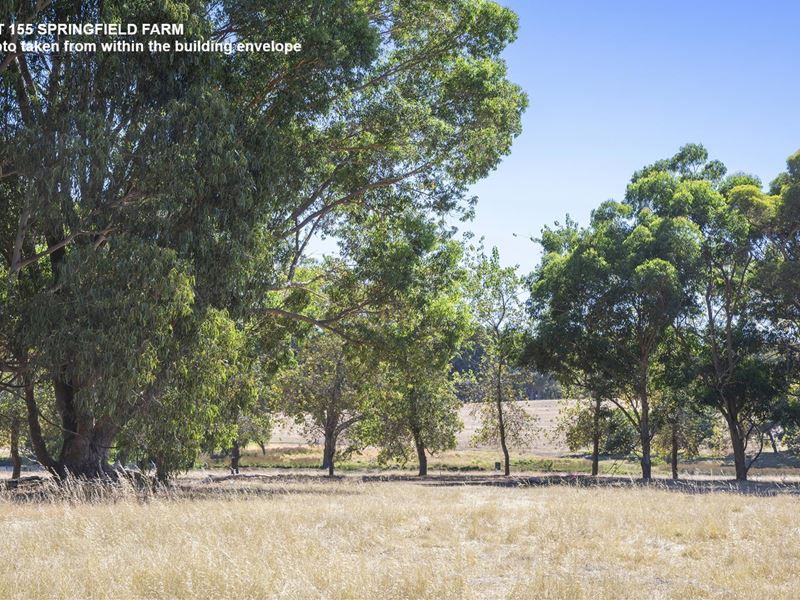 Lot 155,  Springfield Farm, Yallingup