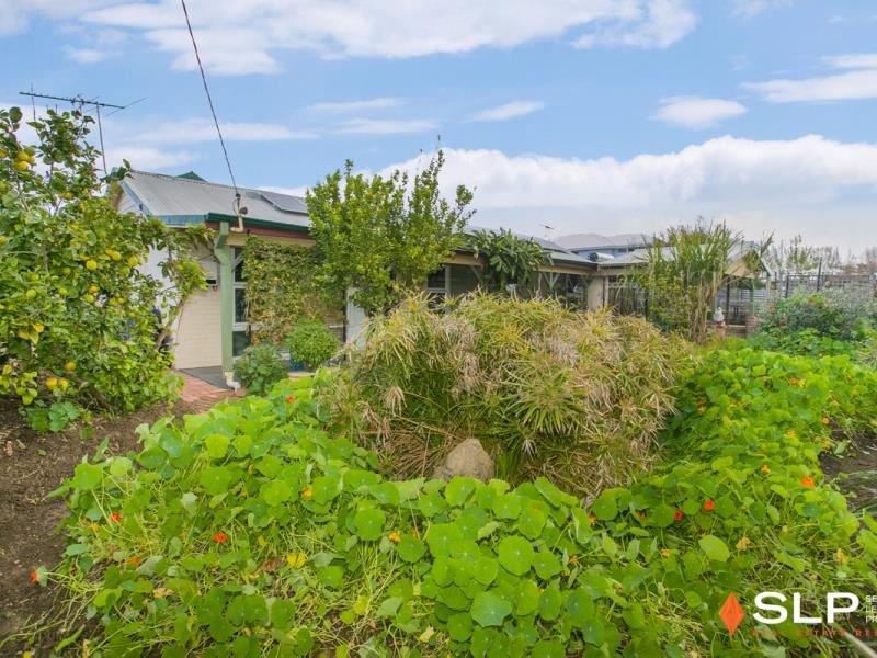 17 Jeffery Street, Beaconsfield WA 6162