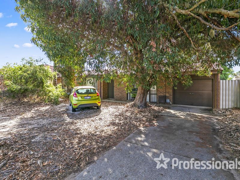 49 Kingfisher Avenue, Ballajura WA 6066