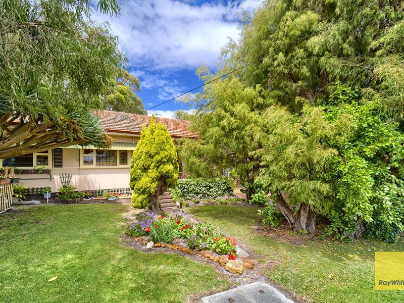 11 David Street, Spencer Park