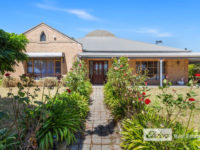 350 Steere  Street, Collie