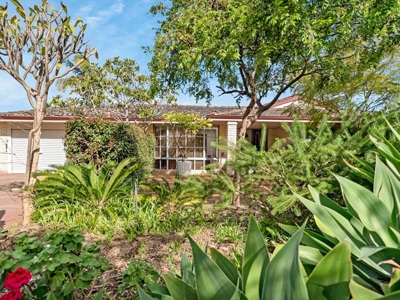 22 Jardine Street, Stirling WA 6021