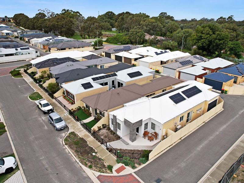 334/151 Branch Circus, Success