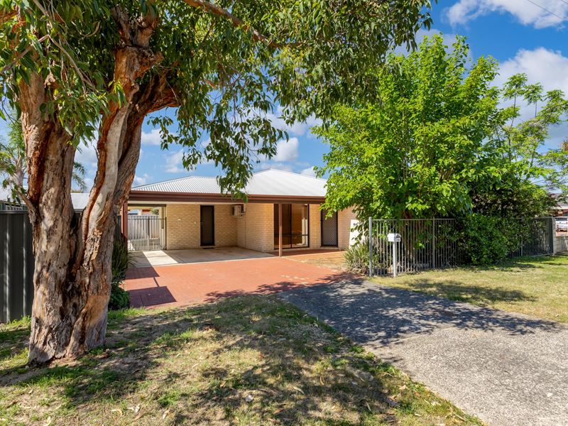 1A Little Street, Carey Park WA 6230