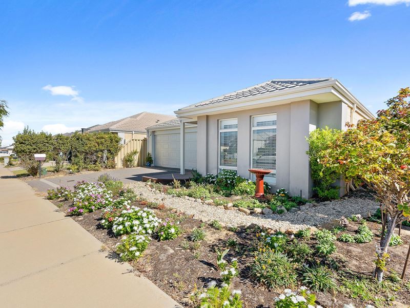14 Millom Street, Butler
