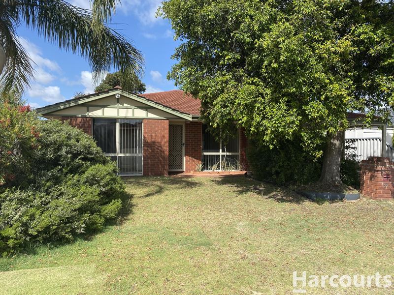 25 Picton Terrace, Alexander Heights WA 6064