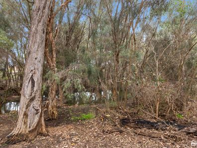 9 Wurdo Lane, Byford WA 6122